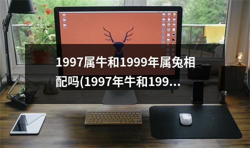 1997属牛和1999年属兔相配吗(1997年牛和1999年兔婚配好吗)