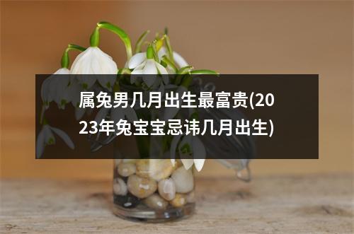 属兔男几月出生富贵(2023年兔宝宝忌讳几月出生)