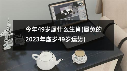 今年49岁属什么生肖(属兔的2023年虚岁49岁运势)