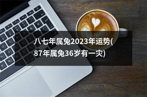 八七年属兔2023年运势(87年属兔36岁有一灾)