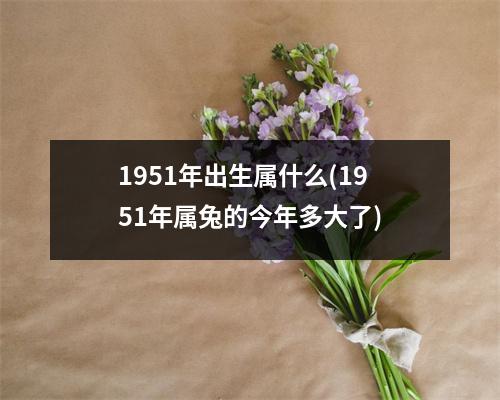 1951年出生属什么(1951年属兔的今年多大了)