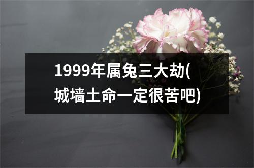 1999年属兔三大劫(城墙土命一定很苦吧)