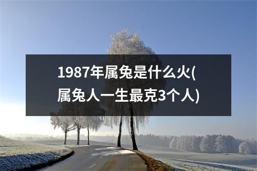 1987年属兔是什么火(属兔人一生克3个人)