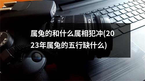 属兔的和什么属相犯冲(2023年属兔的五行缺什么)