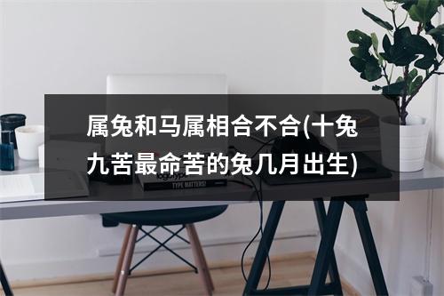 属兔和马属相合不合(十兔九苦命苦的兔几月出生)