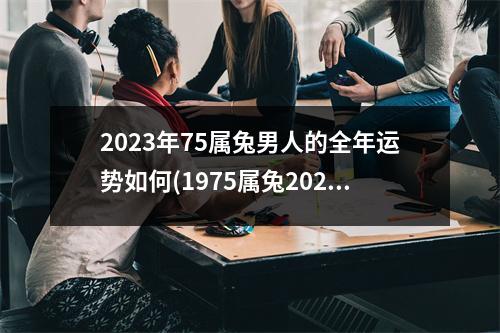 2023年75属兔男人的全年运势如何(1975属兔2023年49岁以后运气)