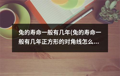 兔的寿命一般有几年(兔的寿命一般有几年正方形的对角线怎么求)