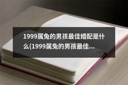 1999属兔的男孩佳婚配是什么(1999属兔的男孩佳婚配是什么属相)