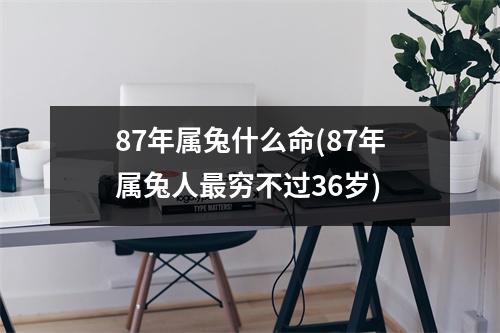 87年属兔什么命(87年属兔人穷不过36岁)