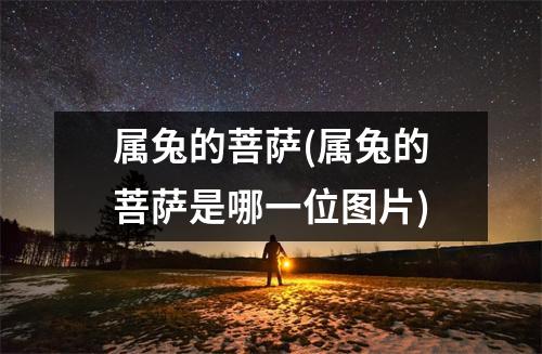 属兔的菩萨(属兔的菩萨是哪一位图片)