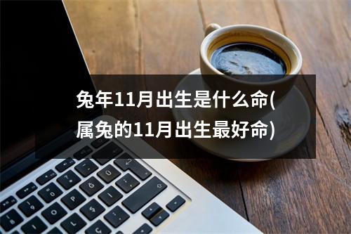 兔年11月出生是什么命(属兔的11月出生好命)