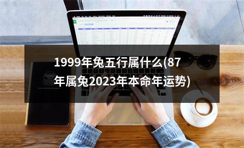 1999年兔五行属什么(87年属兔2023年本命年运势)