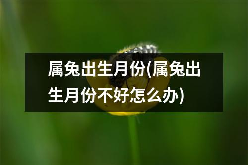 属兔出生月份(属兔出生月份不好怎么办)