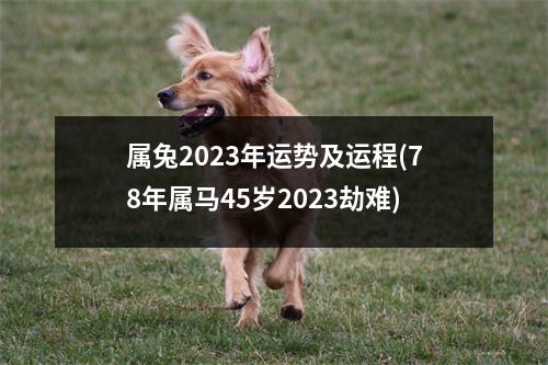 属兔2023年运势及运程(78年属马45岁2023劫难)