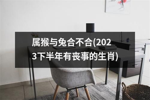 属猴与兔合不合(2023下半年有丧事的生肖)