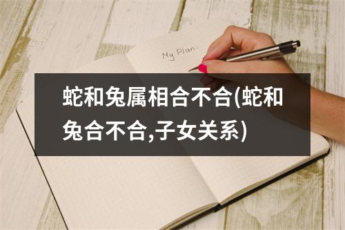 蛇和兔属相合不合(蛇和兔合不合,子女关系)