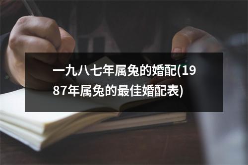 一九八七年属兔的婚配(1987年属兔的佳婚配表)