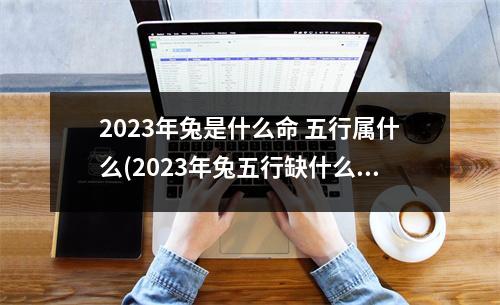 2023年兔是什么命 五行属什么(2023年兔五行缺什么如何取名)