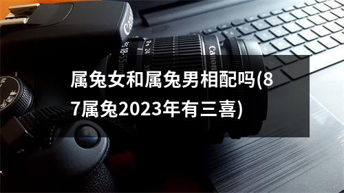 属兔女和属兔男相配吗(87属兔2023年有三喜)