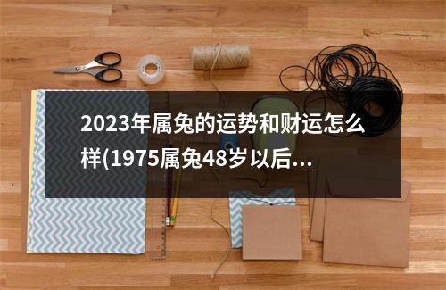 2023年属兔的运势和财运怎么样(1975属兔48岁以后运气如何)