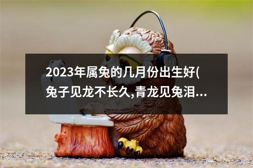 2023年属兔的几月份出生好(兔子见龙不长久,青龙见兔泪交流)