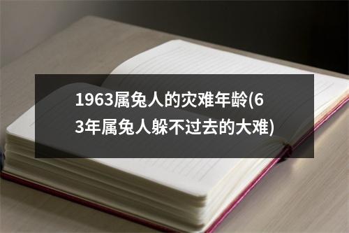 1963属兔人的灾难年龄(63年属兔人躲不过去的大难)