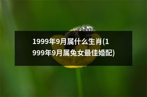 1999年9月属什么生肖(1999年9月属兔女佳婚配)