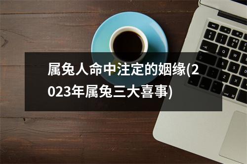 属兔人命中注定的姻缘(2023年属兔三大喜事)