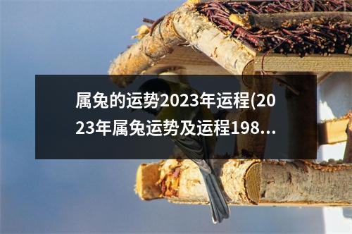 属兔的运势2023年运程(2023年属兔运势及运程1987年生人)