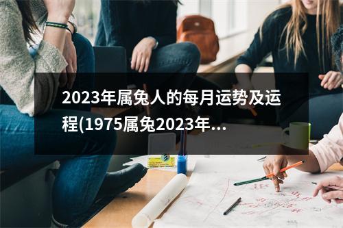 2023年属兔人的每月运势及运程(1975属兔2023年49岁以后运气)