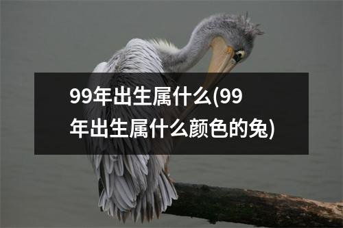 99年出生属什么(99年出生属什么颜色的兔)