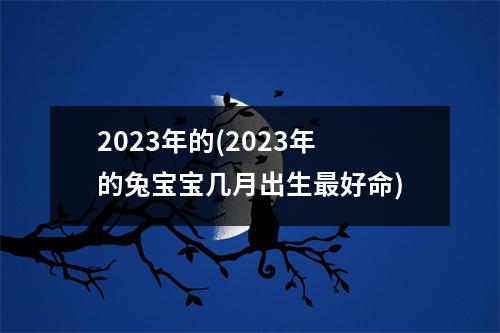 2023年的(2023年的兔宝宝几月出生好命)