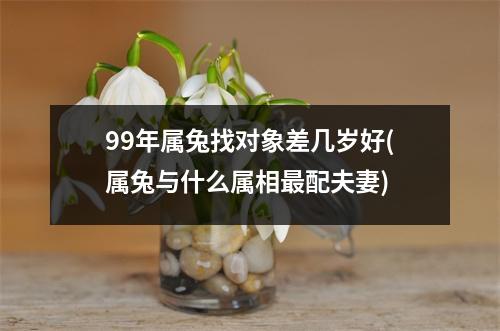 99年属兔找对象差几岁好(属兔与什么属相配夫妻)