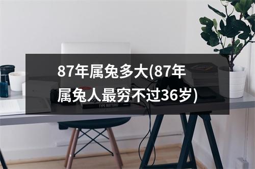 87年属兔多大(87年属兔人穷不过36岁)