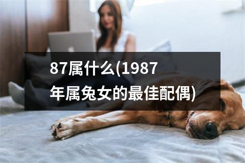 87属什么(1987年属兔女的佳配偶)