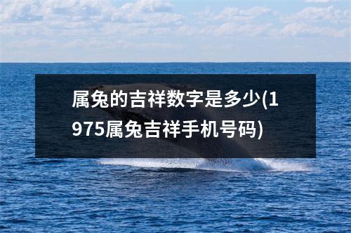 属兔的吉祥数字是多少(1975属兔吉祥手机号码)