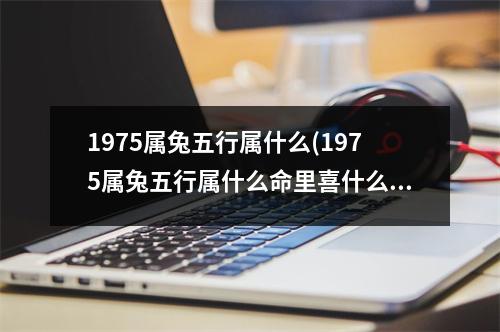 1975属兔五行属什么(1975属兔五行属什么命里喜什么)