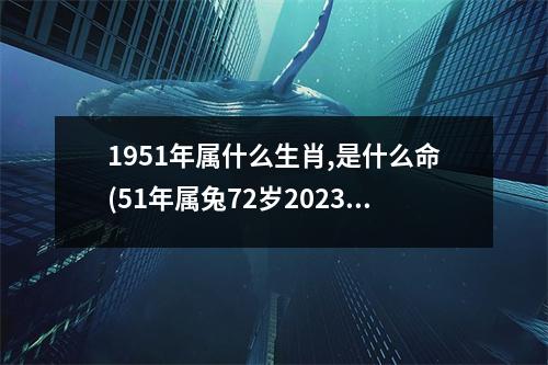 1951年属什么生肖,是什么命(51年属兔72岁2023劫难)