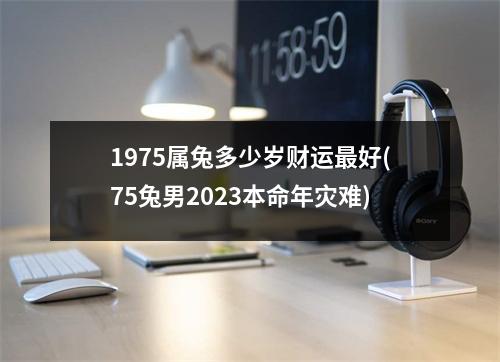 1975属兔多少岁财运好(75兔男2023本命年灾难)