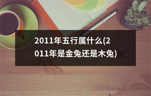 2011年五行属什么(2011年是金兔还是木兔)