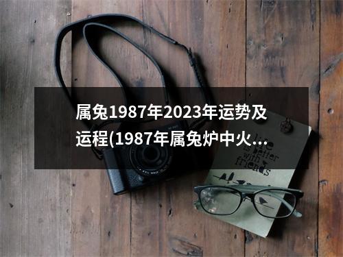 属兔1987年2023年运势及运程(1987年属兔炉中火命2023运势)