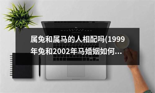 属兔和属马的人相配吗(1999年兔和2002年马婚姻如何)