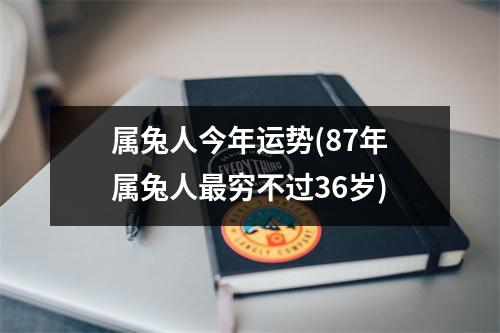 属兔人今年运势(87年属兔人穷不过36岁)