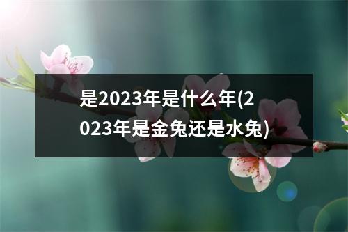 是2023年是什么年(2023年是金兔还是水兔)