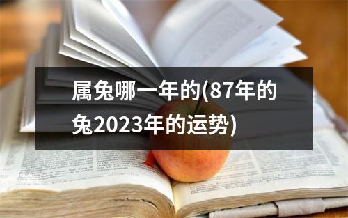 属兔哪一年的(87年的兔2023年的运势)