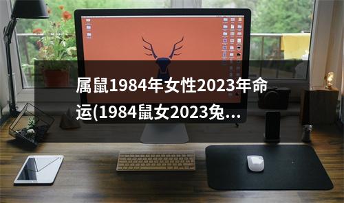 属鼠1984年女性2023年命运(1984鼠女2023兔年运势)