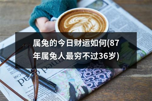 属兔的今日财运如何(87年属兔人穷不过36岁)