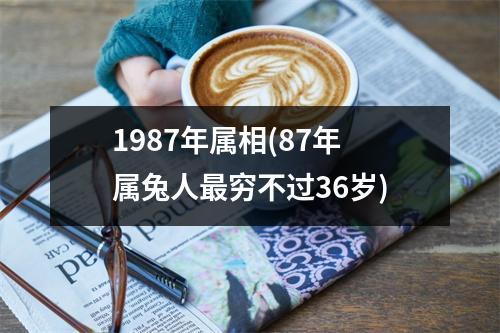 1987年属相(87年属兔人穷不过36岁)