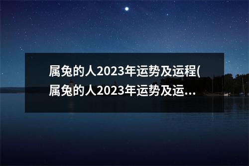 属兔的人2023年运势及运程(属兔的人2023年运势及运程1987有大财吗)