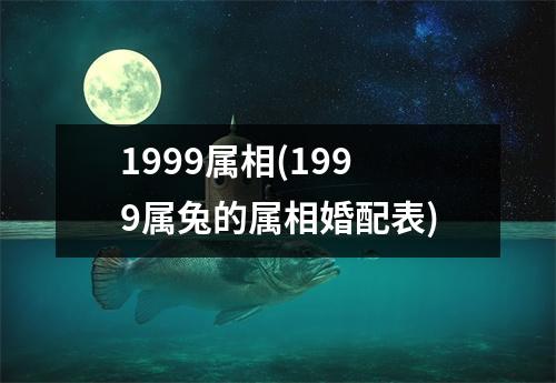 1999属相(1999属兔的属相婚配表)